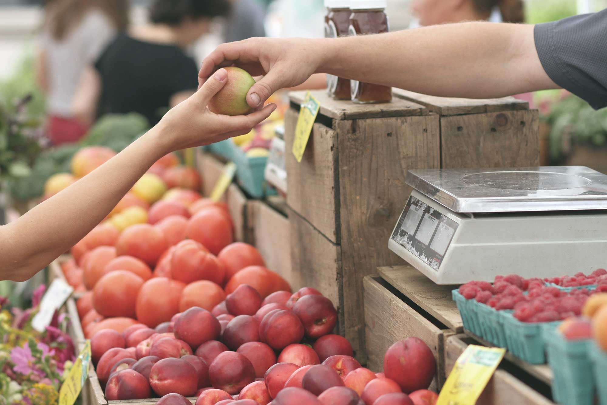 apples-buy-customer-95425